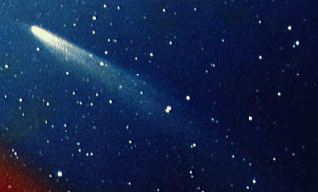 Comet460_kohoutec.gif (109087 bytes)