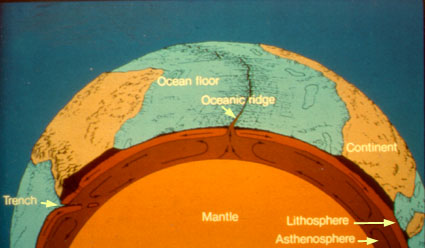 The Earth Differentiation And Plate Tectonics