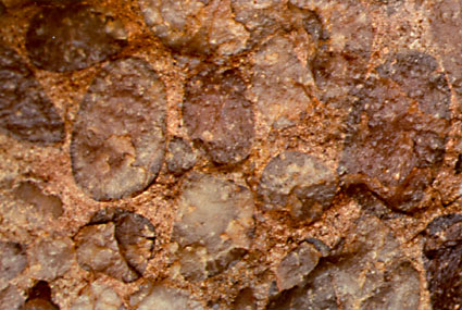 conglomerate.jpg (62862 bytes)