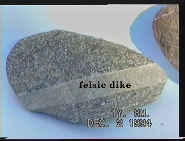 felsic_dike_new.jpeg (46836 bytes)