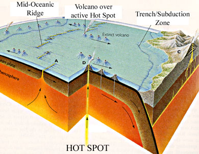 Do hot spots wiggle? – Limited latitudinal mantle plume motion for